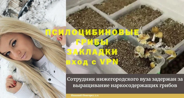 амф Алзамай