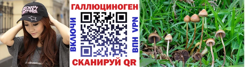 Галлюциногенные грибы GOLDEN TEACHER  Нефтекамск 